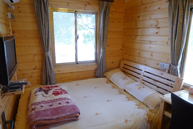 ����ľ��