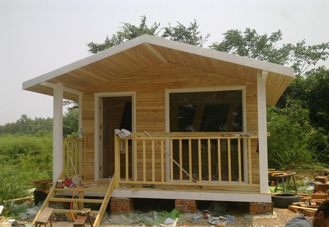 ����ľ��